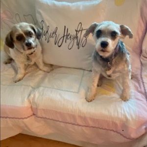 Meet your Posher, Lisa